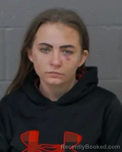Mugshot of JESSICA LEIGH DONAHUE