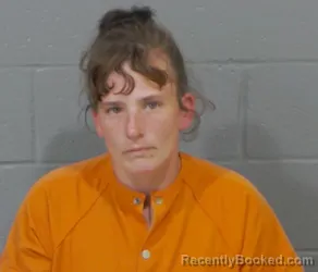 Mugshot of TESHA MARIE POTTER