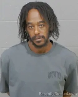 Mugshot of DUANE S WILSON