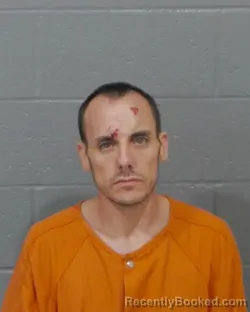 Mugshot of RICHARD ALLEN JOHNSON