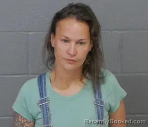 Mugshot of TIFFANY MARIE PLESS booked in Stanly County, North Carolina on April 13, 2026