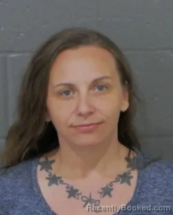 Mugshot of AMBER SHALEE BARNETT booked in Stanly County, North Carolina on April 13, 2026