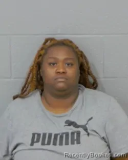 Mugshot of SHAKYIAH STEPHENS booked in Stanly County, North Carolina on April 16, 2026