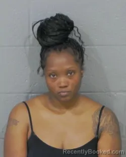 Mugshot of AMANDA ANDREA THOMPSON booked in Stanly County, North Carolina on April 29, 2026