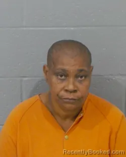 Mugshot of Yvette Denise Lee booked in Stanly County, North Carolina on September 4, 2026
