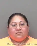 Mugshot of Elvira Lopez-Santos