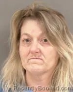 Mugshot of Toni Rae Romig