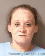 Mugshot of Angel Lee Ellingson booked in Redwood County, Minnesota on March 30, 2026