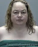Mugshot of Stacey Dawn Novak booked in Renville County, Minnesota on June 5, 2026