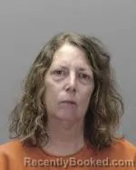 Mugshot of Melissa Ann Johnson booked in Renville County, Minnesota on June 12, 2026