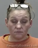 Mugshot of Amanda May Shanahan booked in Renville County, Minnesota on October 9, 2026