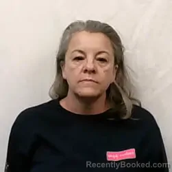 Mugshot of Lisa Ann Miller