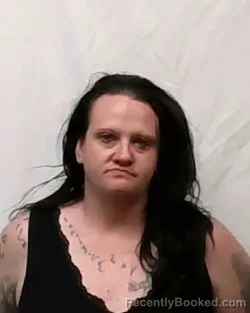 Mugshot of Alyssa Fletcher Siler booked in Stokes County, North Carolina on April 9, 2026