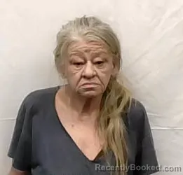 Mugshot of Peggy Sue Lester booked in Stokes County, North Carolina on July 29, 2026