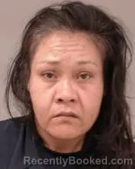 Mugshot of Miguelina Figueroa-romero booked in Scott County, Minnesota on March 23, 2026