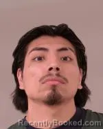 Booking photo from Scott County, Minnesota