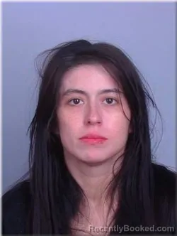 Booking photo from Sherburne County, Minnesota