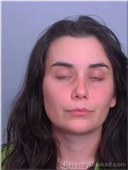 Booking photo from Sherburne County, Minnesota