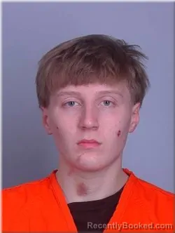 Mugshot of Daniel Nelson