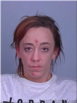 Mugshot of Andrea Johnson-Curtis