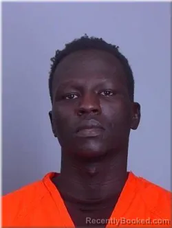 Mugshot of Olal Nathanael