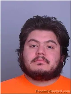 Mugshot of Ari Sanchez-Quevedo