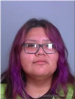 Mugshot of Tristin Johnson booked in Sherburne County, Minnesota on March 29, 2026