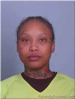 Mugshot of Alexis Pierce booked in Sherburne County, Minnesota on April 24, 2026