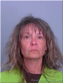 Mugshot of Tricia Goertz booked in Sherburne County, Minnesota on May 15, 2026
