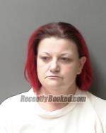 Booking photo from Sibley County, Minnesota