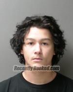 Booking photo from Sibley County, Minnesota