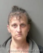 Mugshot of Catherine Jean Fenning booked in Sibley County, Minnesota on April 7, 2026