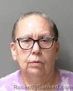 Mugshot of Michele Elizabeth Hamid booked in Sibley County, Minnesota on June 7, 2026