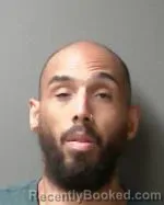 Mugshot of Matthew Lee-Cortez Lewis booked in Sibley County, Minnesota on July 31, 2026