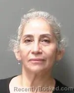Mugshot of Maria Angeles Sarinana booked in Sibley County, Minnesota on August 9, 2026