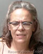 Mugshot of Amy Luann Seelye booked in Sibley County, Minnesota on September 26, 2026