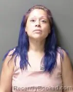 Mugshot of Wanda Lee Vela booked in Sibley County, Minnesota on September 28, 2026