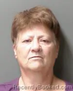 Mugshot of Bonnie Beth Holbrook booked in Sibley County, Minnesota on September 30, 2026