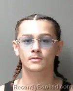 Mugshot of Noah Riley Herrington booked in Sibley County, Minnesota on October 3, 2026