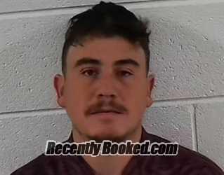 Booking photo from Surry County, North Carolina