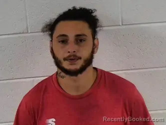 Mugshot of IAN MICHAEL BORTZ