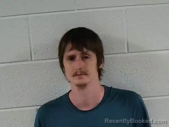 Mugshot of MASON ALEXANDER BLEVINS