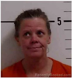Mugshot of AMANDA LEIGH HOLDER