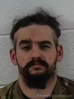 Mugshot of JOHN ALTON LOWE