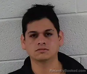 Mugshot of MICHAEL NELSON BRANCH