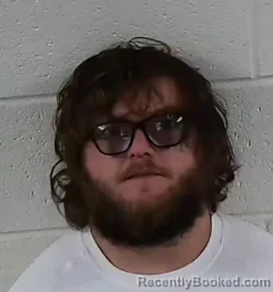 Mugshot of MICHAEL IRVING WOODS