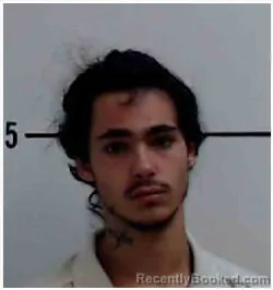 Mugshot of JAMES MICHAEL ONEAL KING