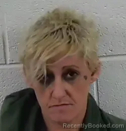 Mugshot of SUZANNE ERIN TILLEY