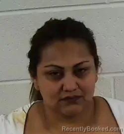 Mugshot of MARICELA DEL CARMEN GODOY-ULLOA