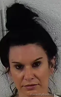 Mugshot of BRANDY WALL JOHNSON